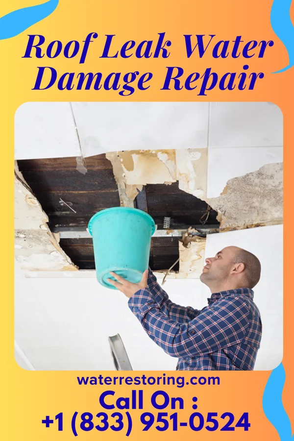 Roof Leak Water Damage Repair in Clear Lake, SD